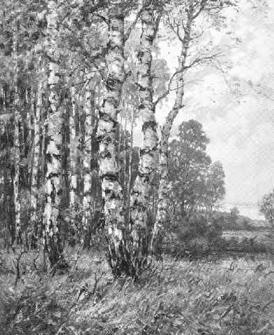 Emil Bartoschek, Fr�hling im Birkenwald